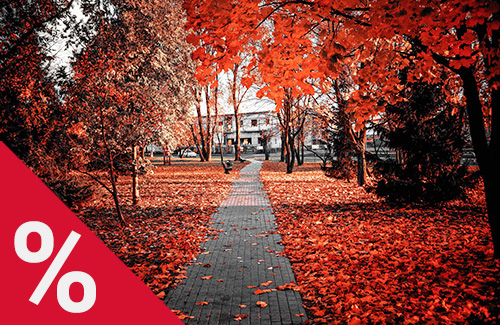 Verkehrssicherungspflicht - Gebäude, Außenanlagen und Verkehrswege für Dritte unbedenklich nutzbar halten 