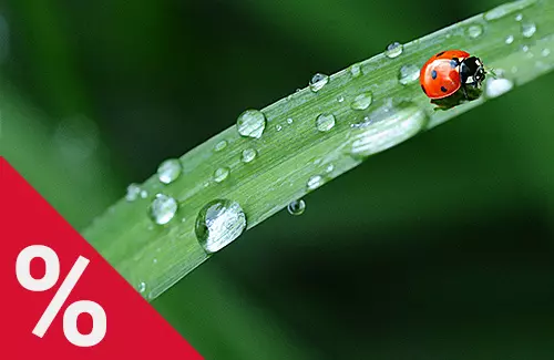 Die Bundesverordnung über Anlagen zum Umgang mit wassergefährdenden Stoffen (AwSV)